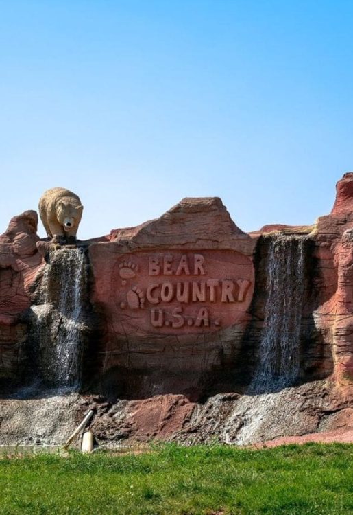 Bear Country Bear Country